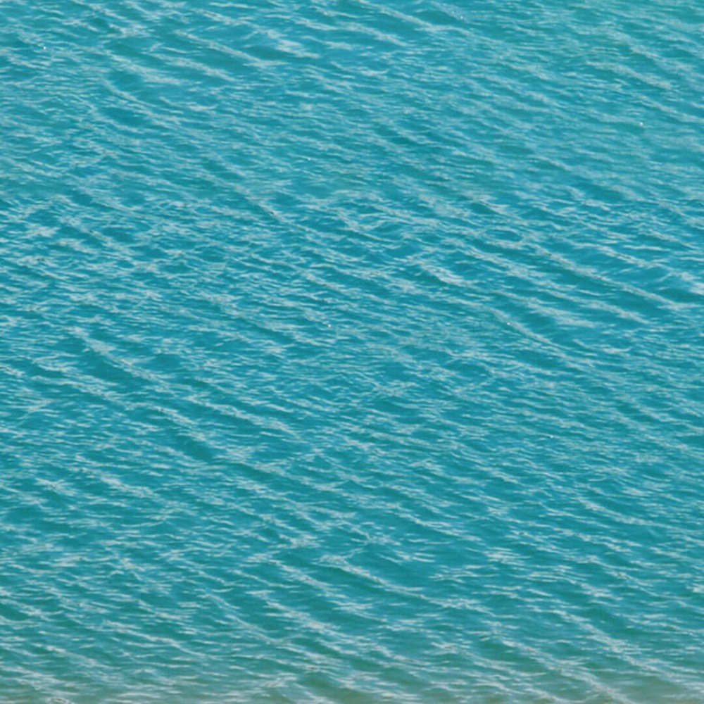 Meet your Posher, Lesia